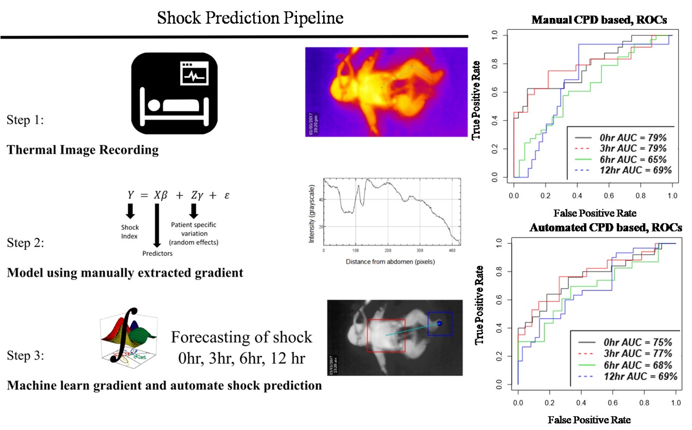 Thermal imaging research